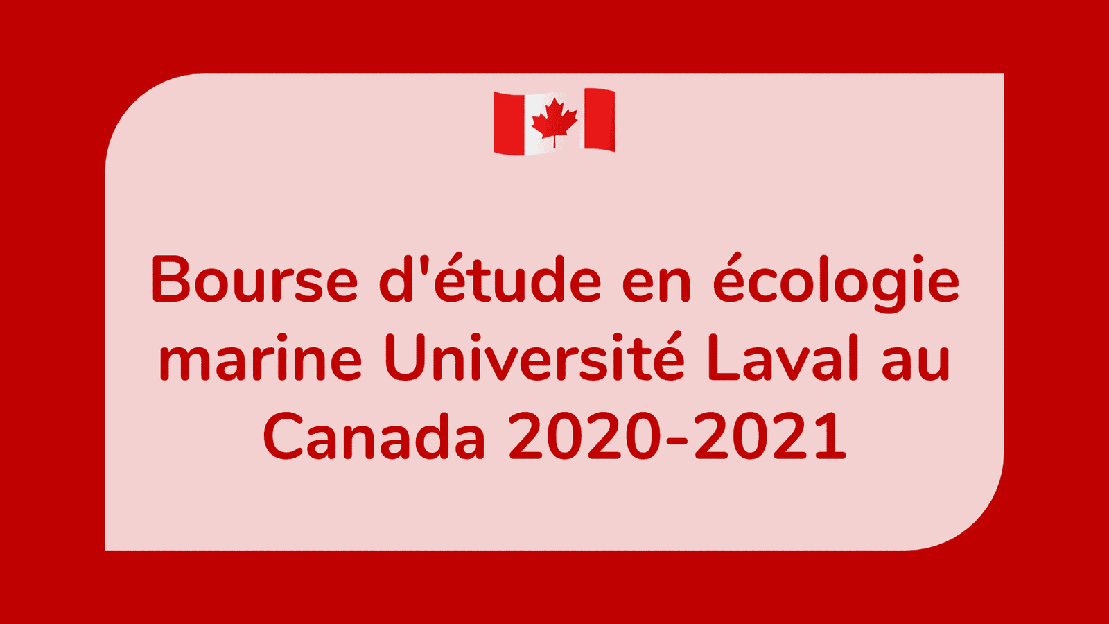 Bourse d'étude en écologie marine Université Laval