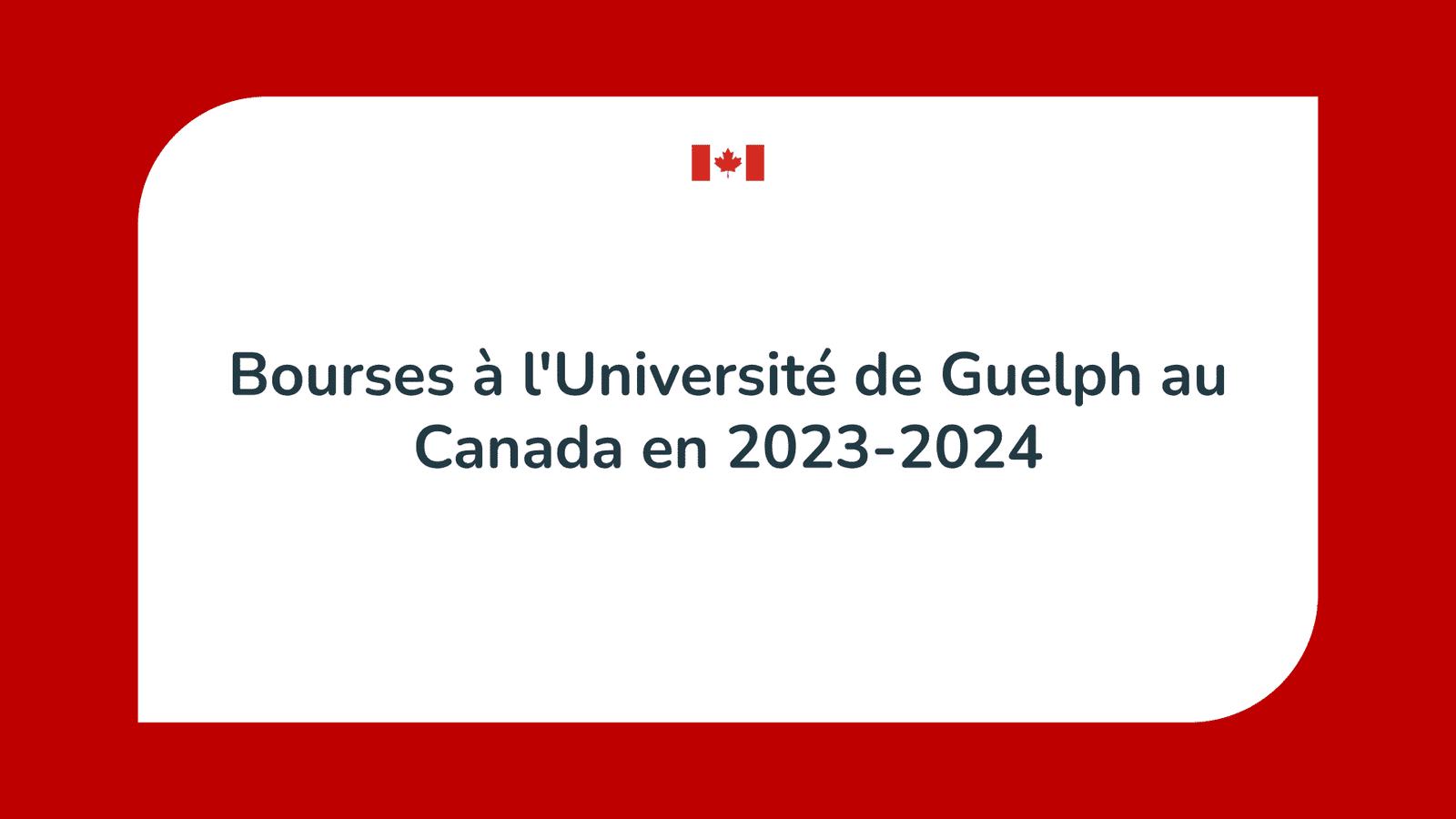 Bourses à l'Université de Guelph